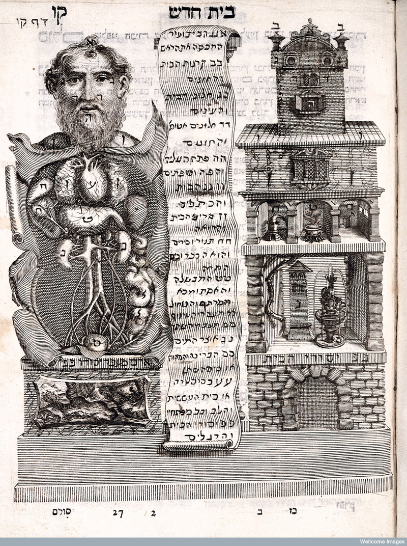 Illustration for article titled A Brief History of the Body Told Through 10 Eye-Popping Drawings
